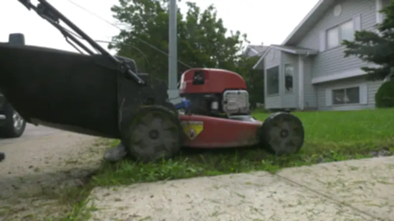Edmonton Landscaping Delayed by Heavy June Rain as Plants Thrive