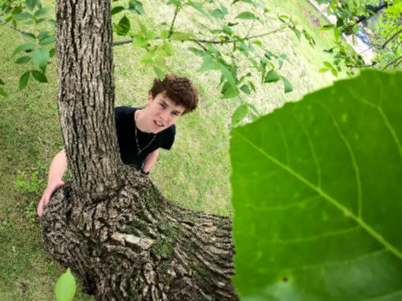 Edmonton Teen Wins $100K Scholarship for Ancient Tree Tracker App