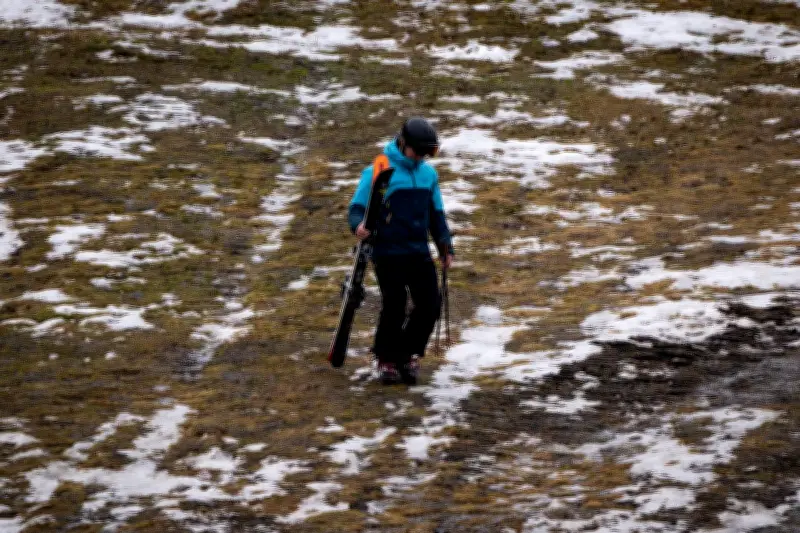 El Nino Expected to Bring Extreme Weather to Canada: UN Warns