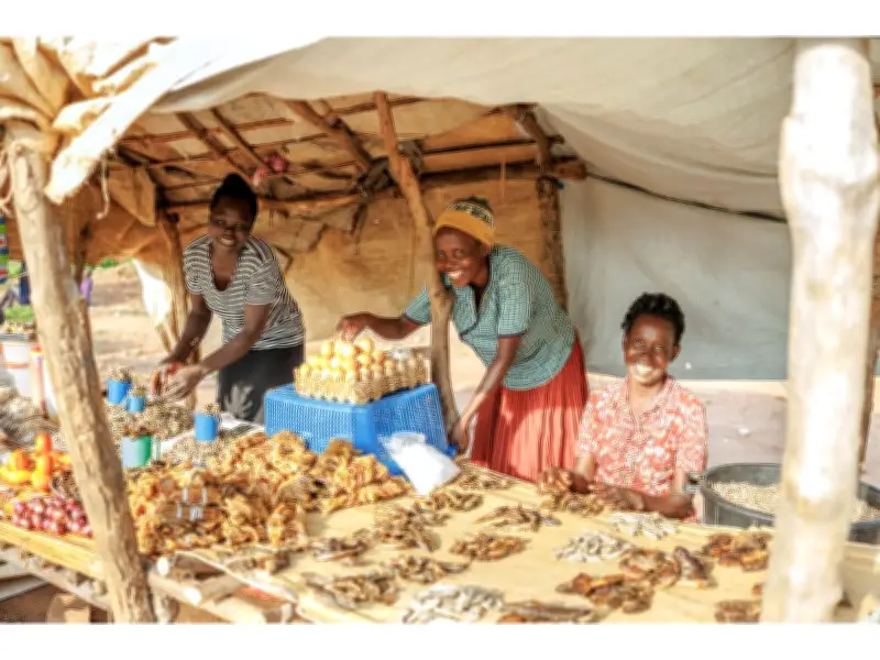 Entrepreneurship Model Reduces Extreme Poverty Among Refugees, New Study Shows