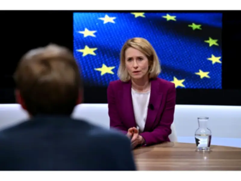 EU Top Diplomat: Ukrainian Drone Strikes Causing 'Panic' for Kremlin