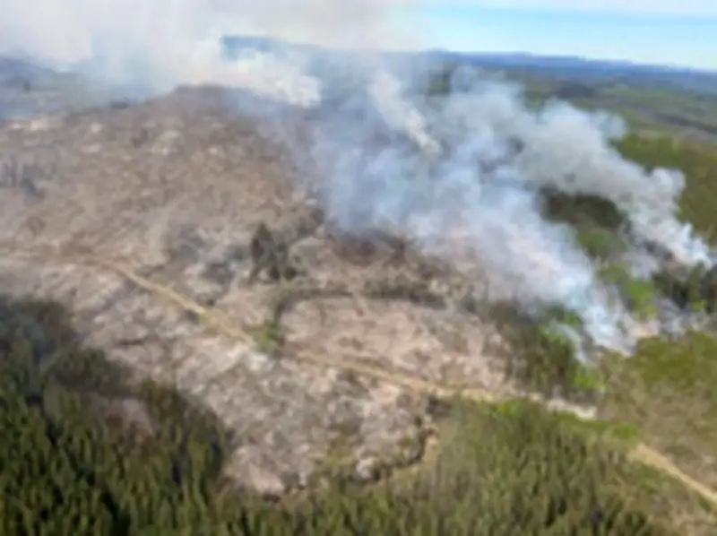 Evacuation Alert Issued for Out-of-Control Swede Creek Wildfire in B.C.'s Cariboo Region