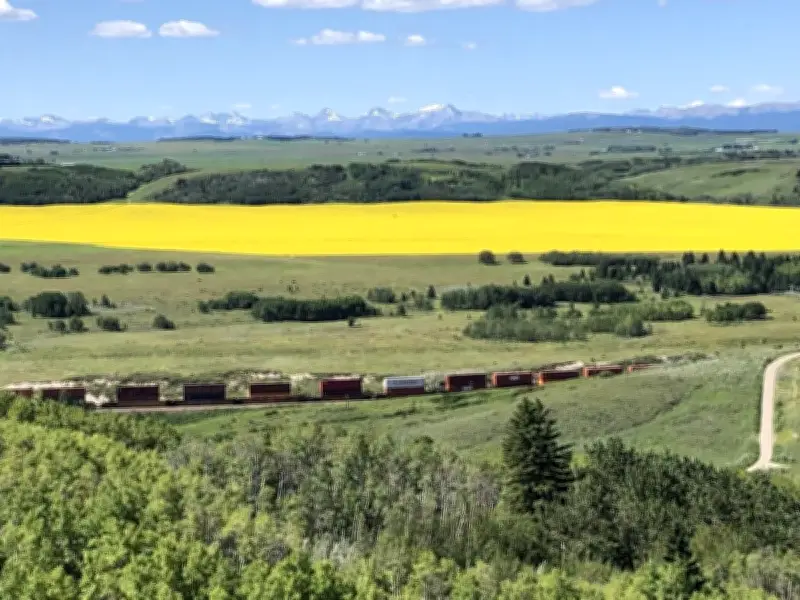 Explore Unspoiled Views at Glenbow Ranch and Haskayne Parks Near Calgary