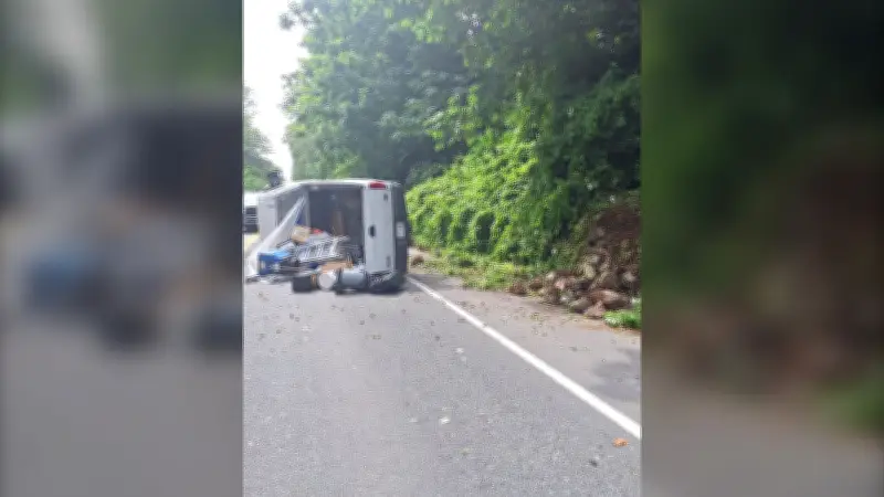 Flipped Truck in Abbotsford Leads to Arrest of Alleged Thief
