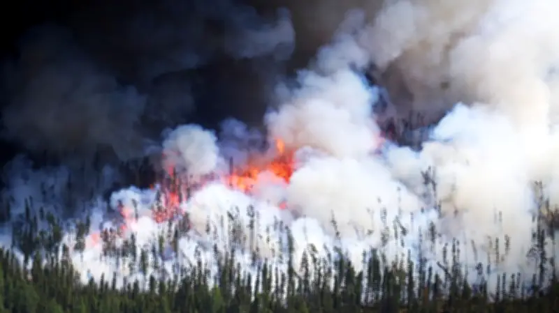 Forest Fire Hazard High in Northeast Ontario, 350-Hectare Blaze Active