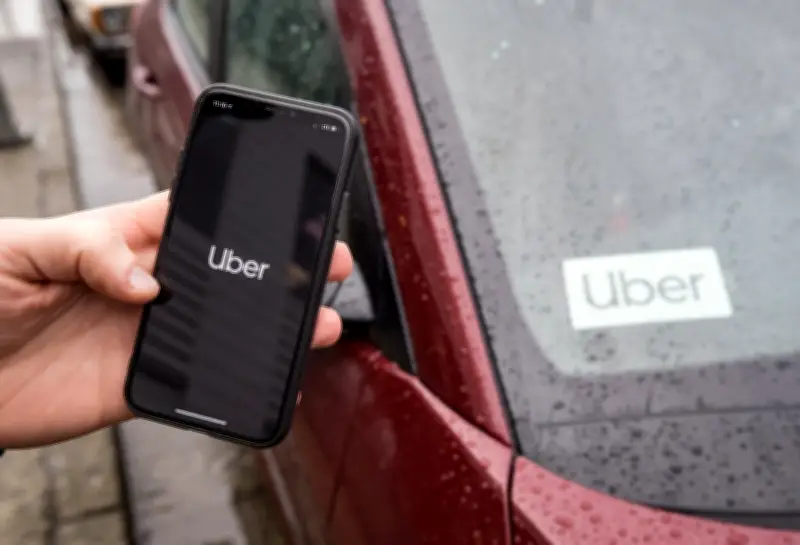 Frozen turkey, goalie pads, fish: What Canadians left in Ubers last year