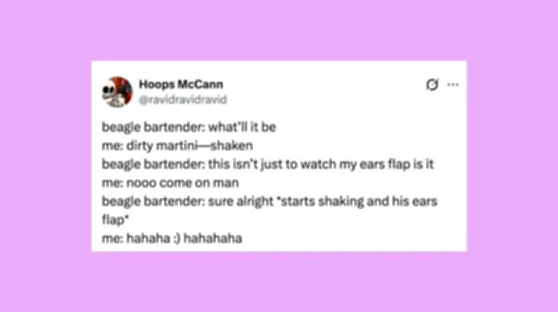 Funniest Pet Posts of the Week: Cats, Dogs, and More Goofballs