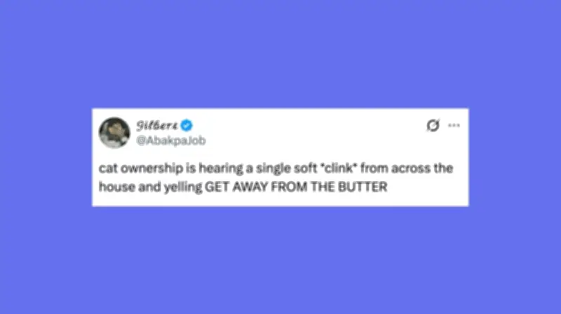 Funny Pet Posts to Make You Howl with Laughter This Week