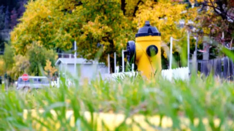 Gananoque police charge suspect for stealing water from fire hydrants