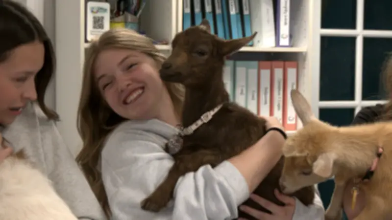 Goats Paint Night at N.L. Cafe a Hit for Years