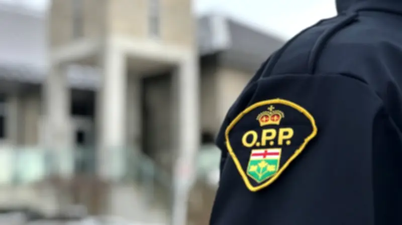 Good Samaritan Assaulted After Stopping to Help Stranger in Kitchener