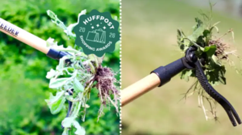 Grampa's Weeder on Rare Sale: Stand-Up Weed Puller for Back Pain Relief