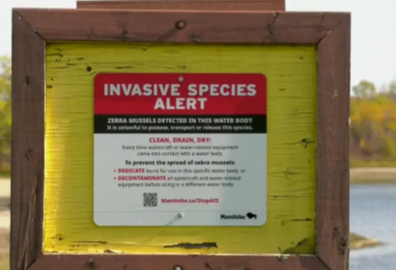 Half of Vehicles in Zebra Mussel Inspection Blitz Failed in Manitoba