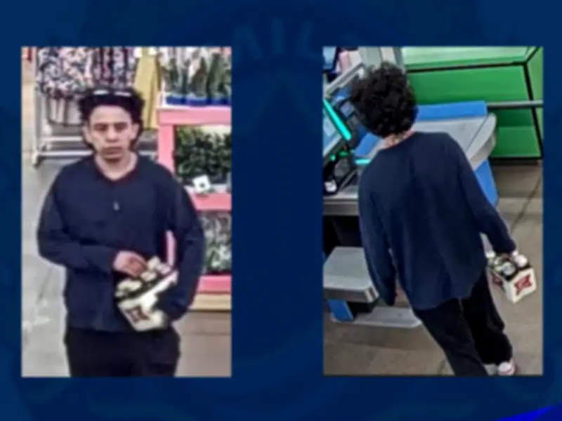 Hamilton Police Seek Arson Suspect; Man Charged in Markham Carjacking