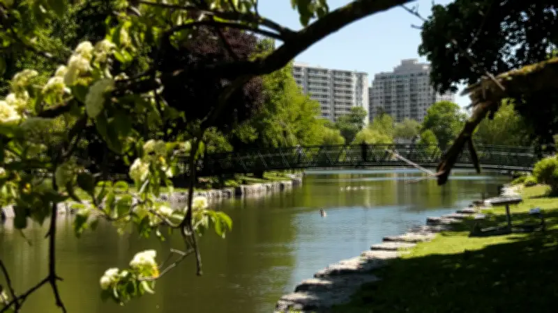 Heat and Humidity Surge Across Southwestern Ontario