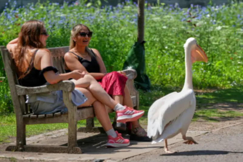 Heatwave Sparks Health Warnings Across Europe as Temperatures Soar