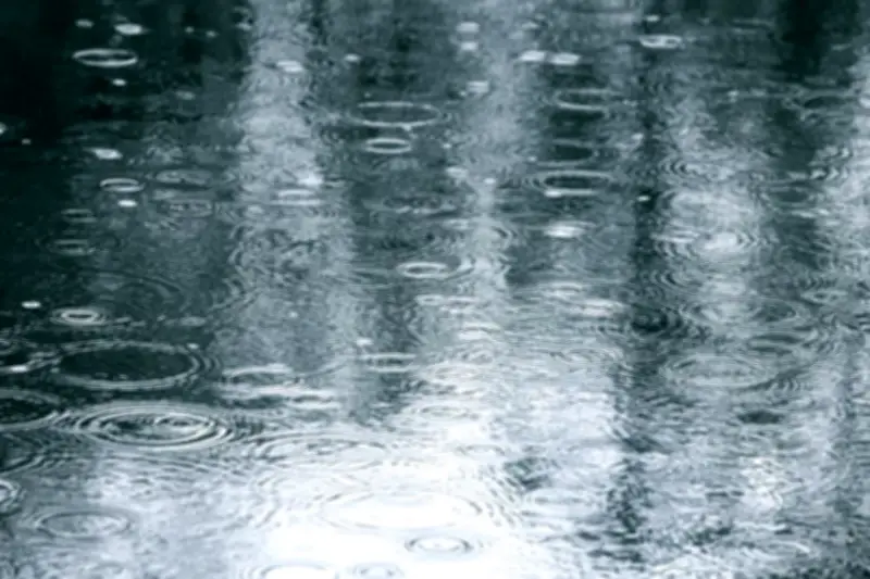 Heavy Rain and Thunderstorms Forecast for Manitoba This Week