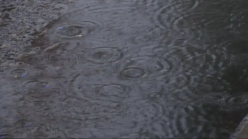 Heavy Rainfall in Manitoba: Up to 100 mm Recorded on Tuesday