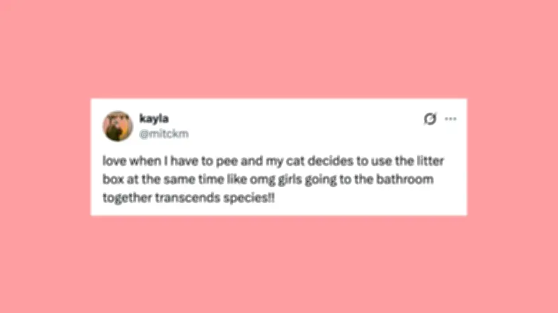 Hilarious Pet Posts That Will Make You Howl with Laughter