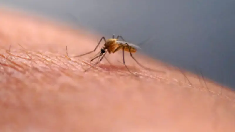 How Risky Is a Mosquito Bite in Canada? West Nile Virus Summer Guide