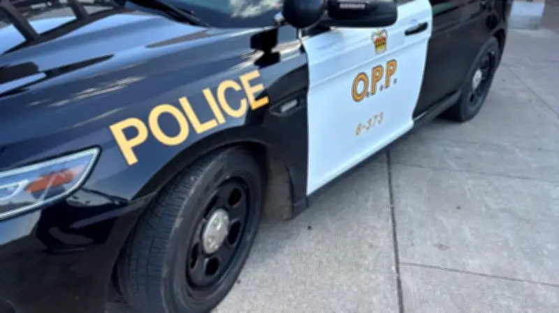 Human Remains Discovered in Thornton, Ontario: OPP Investigates