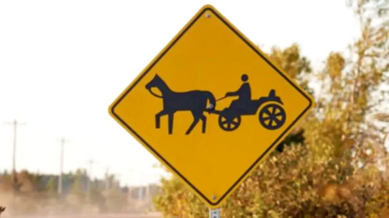 Impaired E-Biker Charged After Colliding with Horse and Buggy Near North Bay