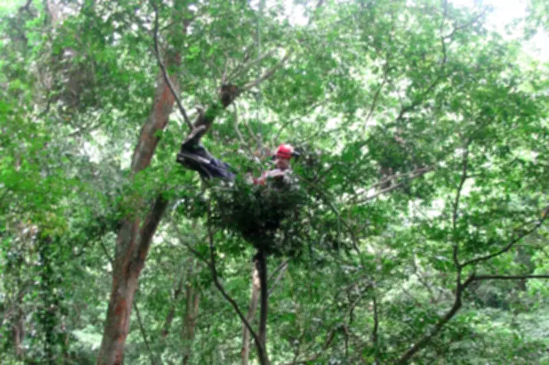 Improve Sleep by Mimicking Hunter-Gatherer Habits, Study Suggests
