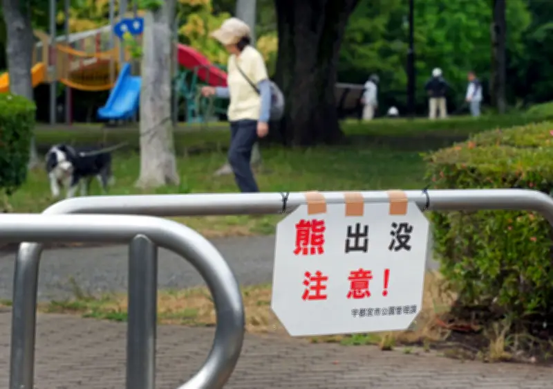 Japan Closes Nearly 100 Schools After Bear Sightings as Attacks Rise