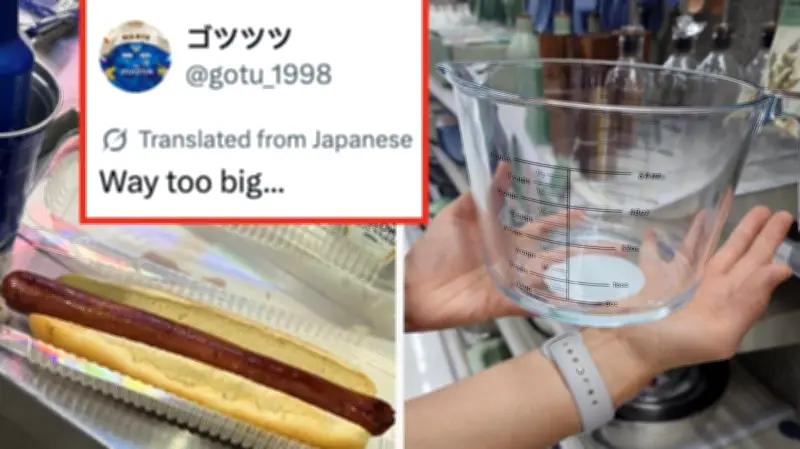 Japanese World Cup Fans' Viral Observations About America