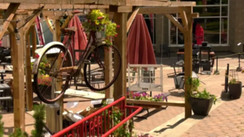 La Cité francophone Brings Back Patio Music Concerts in Edmonton