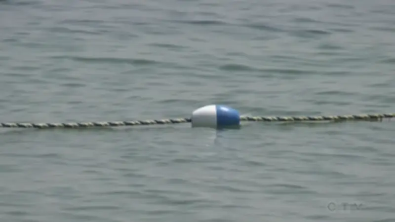 Lake Simcoe Shoreline Hazard Moderate as Rain Approaches