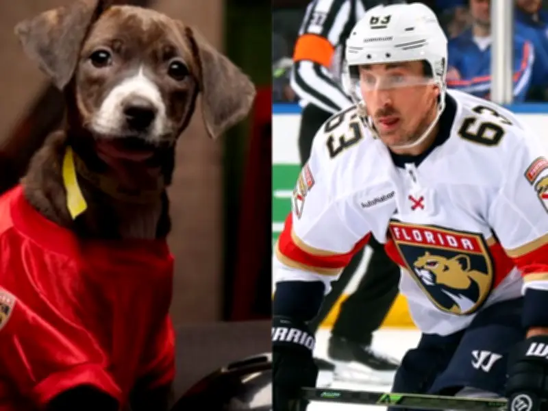 Last Dog Remaining in Stanley Pup Adoption Drive Named After Brad Marchand