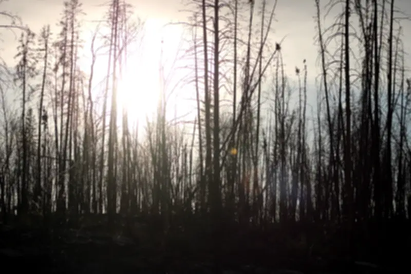 Lightning Sparks Multiple New Wildfires in Saskatchewan's North and West