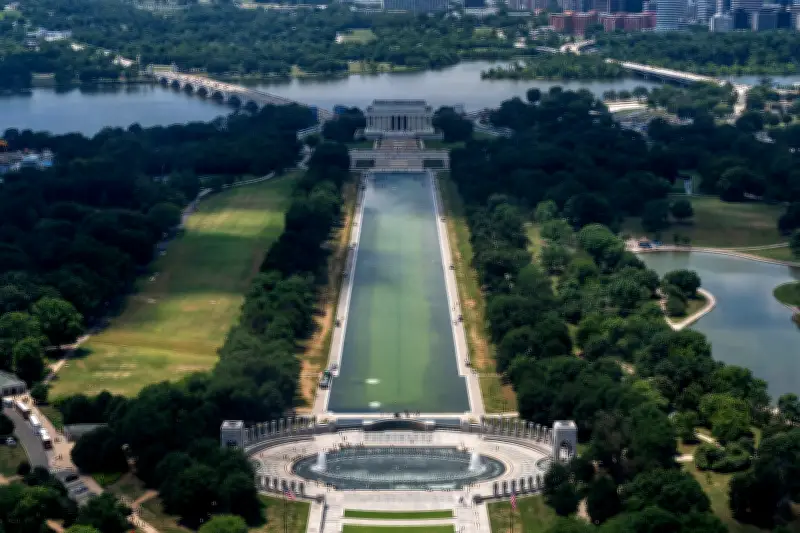 Lincoln Memorial Reflecting Pool Green Algae Under Surveillance After Trump Blames Vandals