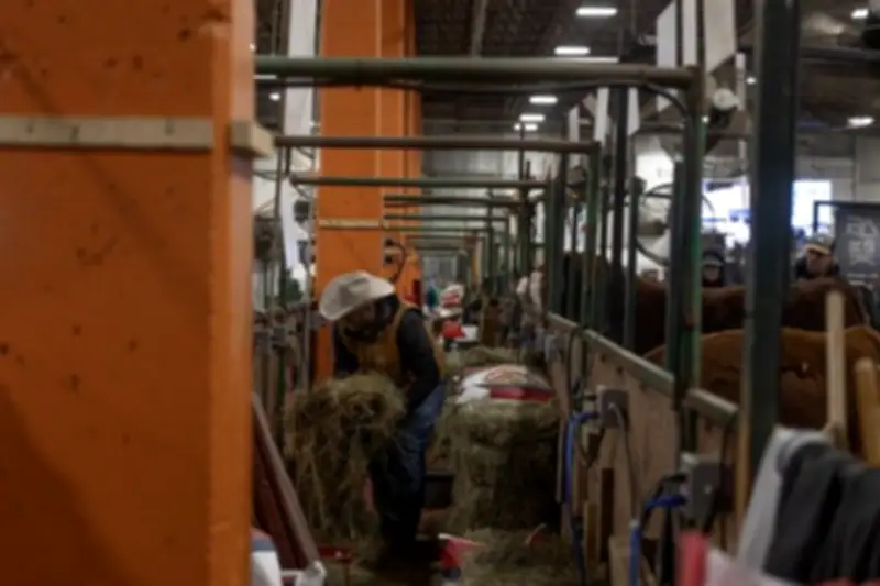 Livestock Groups Fear Agribition Future After REAL District Eviction