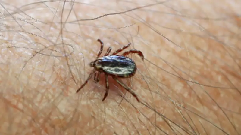Lyme Disease Cases Reported in Waterloo Region: Health Officials Warn