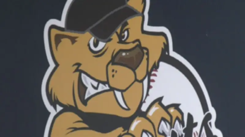 Majors' Bats Erupt in Victory Over Baycats in Barrie Baseball Showdown