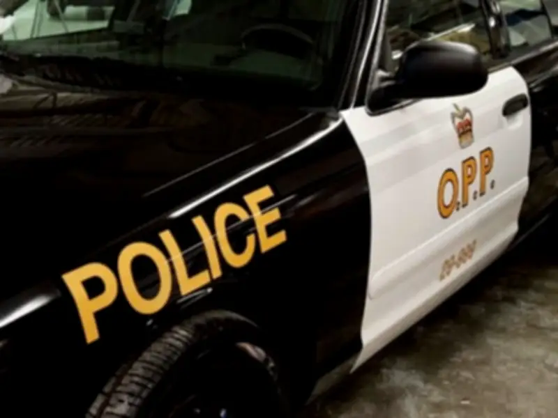 Man charged with extortion in Brant County investigation