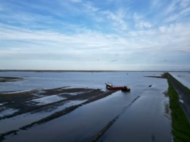 Manitoba Farmers Face Devastating Crop Loss After Historic Storm