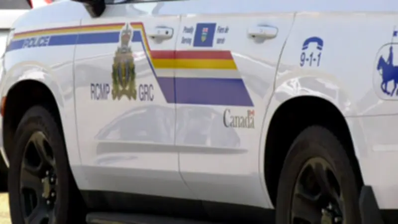 Manslaughter Charge Filed in Death of Woman Hit by Pickup Near Edmonton