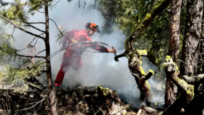 Massive Wildfire Burns Out of Control in B.C. Interior