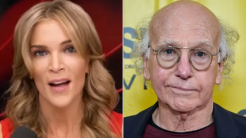 Megyn Kelly Slams Larry David for Trump UFC Comments