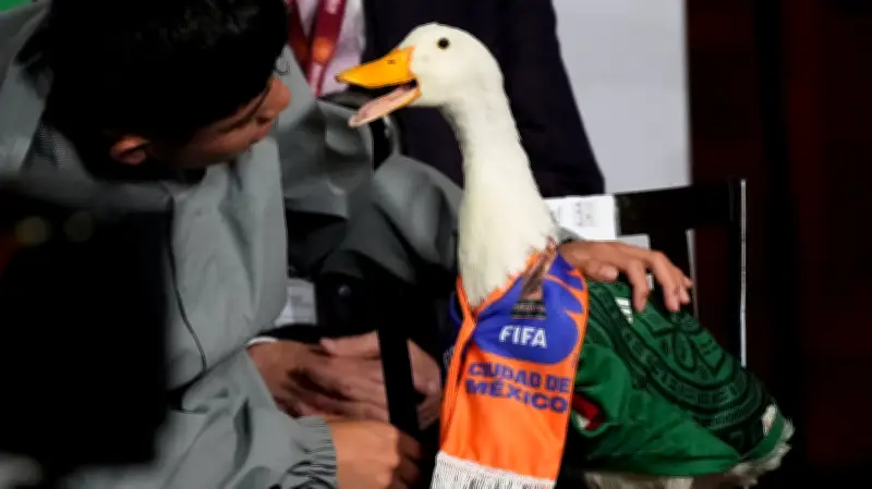Merlín the Duck Denied Entry to Mexico World Cup Match