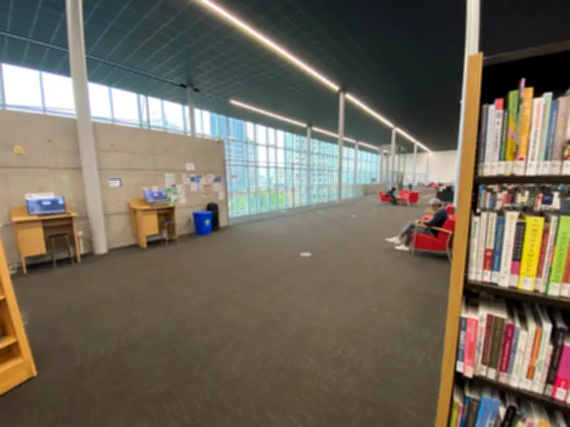 Millennium Library Incidents Drop at Start of Year: Report