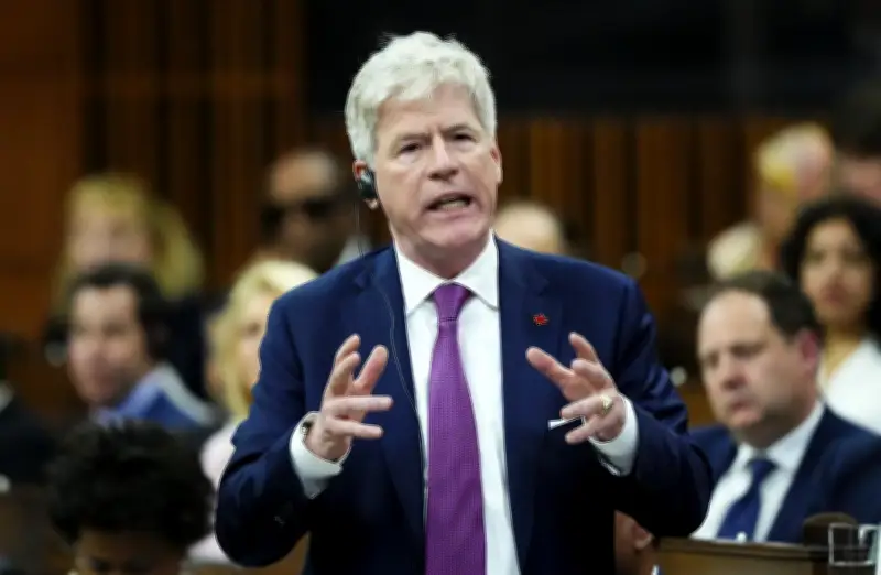 Minister Says Canadian Forestry Crisis Goes Beyond Trump Tariffs
