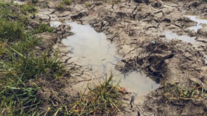 Missing Minnesota Woman Found Alive Stuck in Mud Puddle After 3 Days