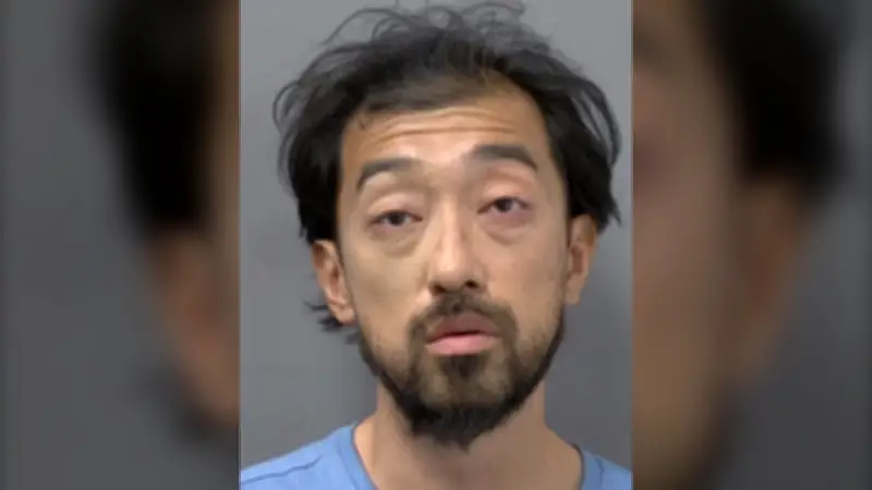 Mississauga Man Charged in Series of Unprovoked Assaults and Rock-Throwing Incidents