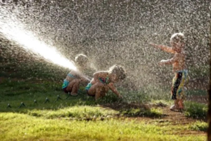 Montreal Aims to Cut Water Use: Simple Steps You Can Take