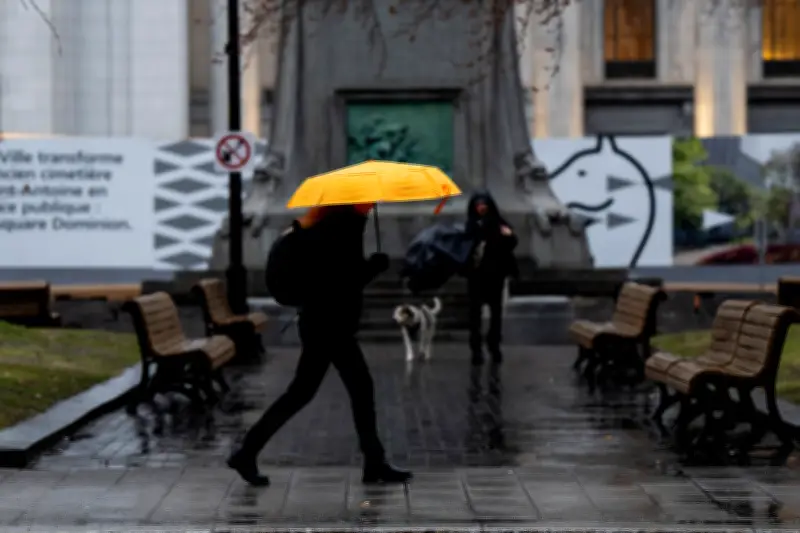 Montreal Under Severe Thunderstorm Watch: June 2026 Update