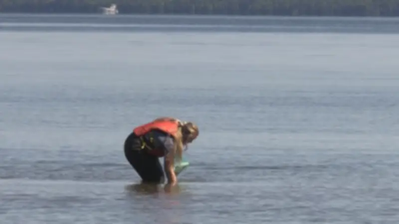 Muskoka Offers Funding for Local Watershed Protection Projects